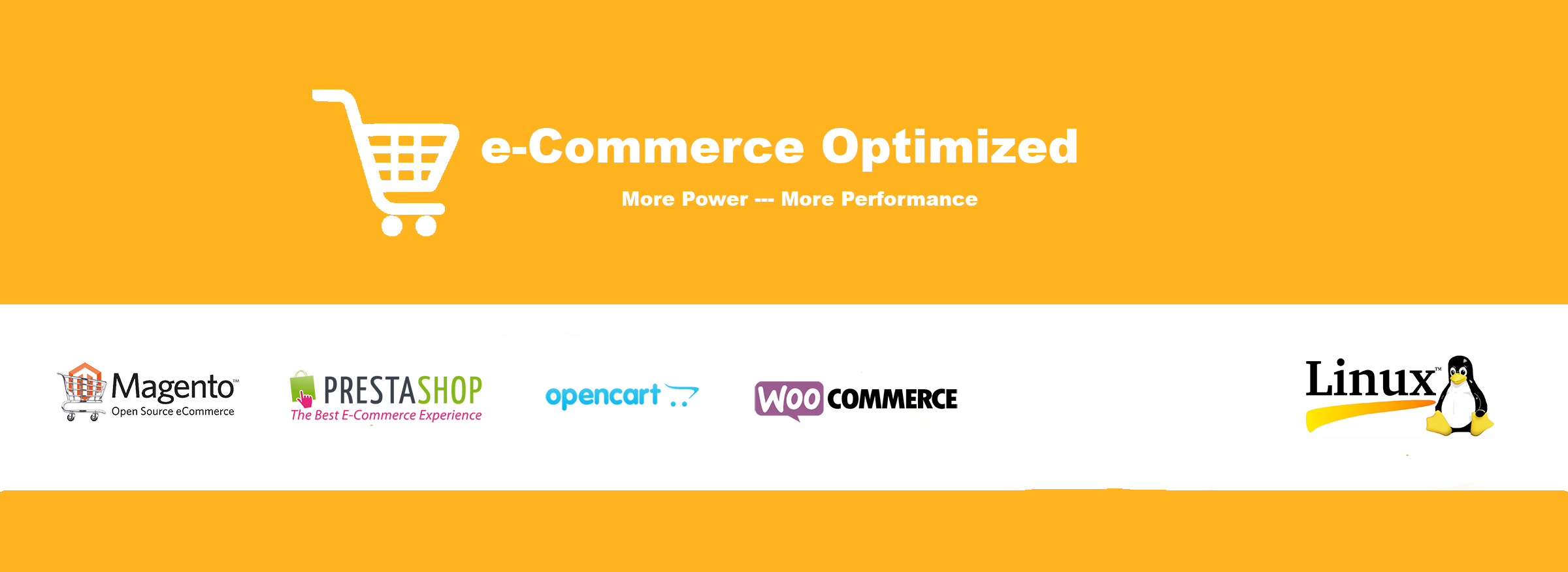 eCommerce Hosting in India