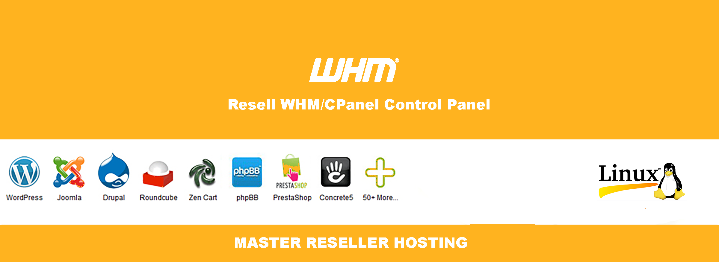 Master Reseller Hosting in india